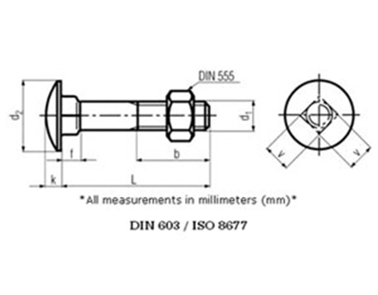 Mushroom Head Square Neck Bolts